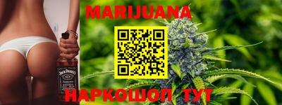 амф Кандалакша