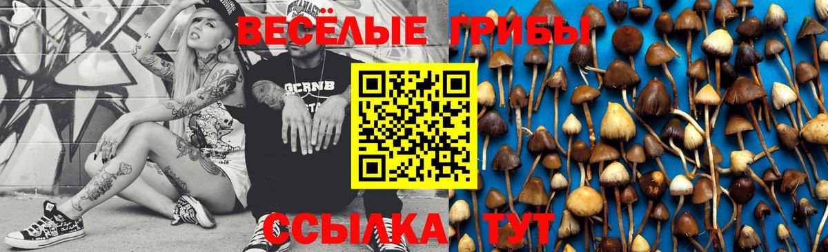 Галлюциногенные грибы MAGIC MUSHROOMS Красный Сулин